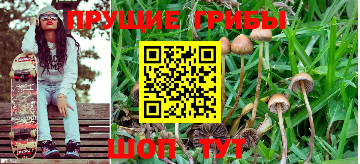Псилоцибиновые грибы Psilocybe  Галлюциногенные грибы мицелий  Вход с VPN  Майский 