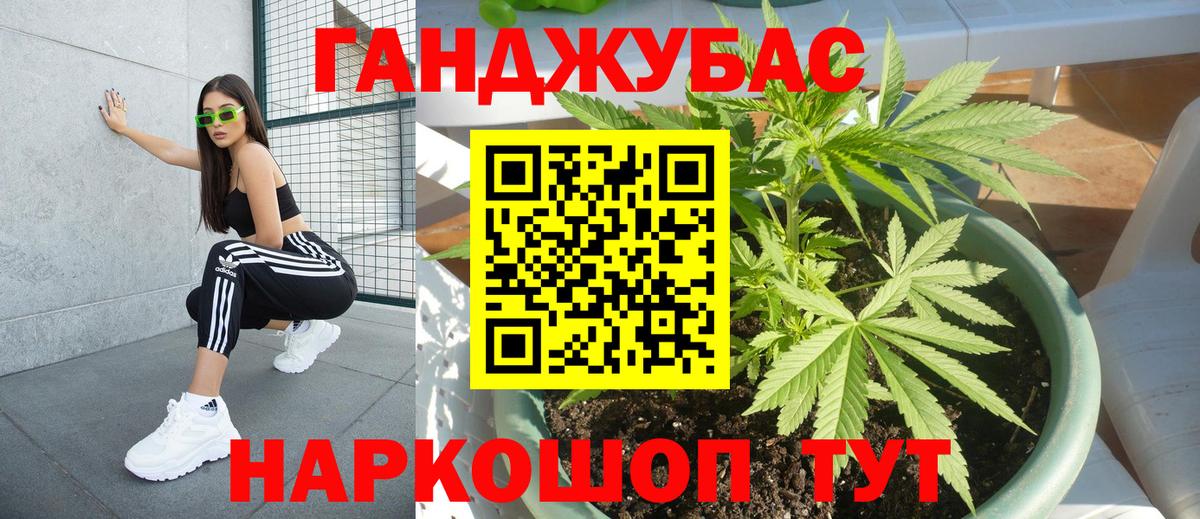 Шишки марихуана планчик  Бошки марихуана MAZAR  Канабис Bruce Banner  Майский  Вход с VPN 